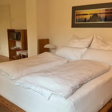 Guest house Ferienapartment Remke
